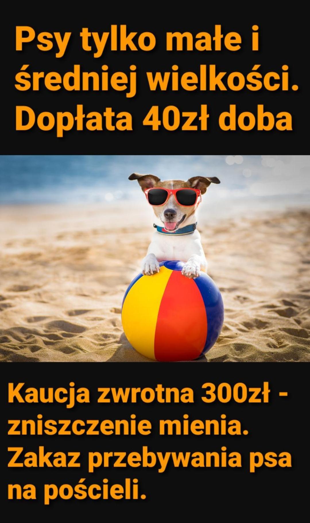 Pokoje Sandra I Łeba Extérieur photo